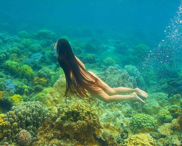 diver