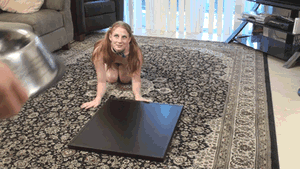 farmd0g:Petgirl Monday