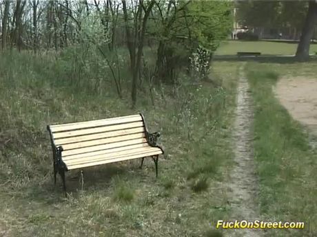 Slut gets anal fuck in park