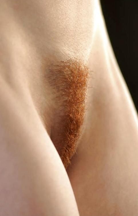 Red pubes