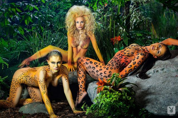 lion cheetah leopard bodypaint