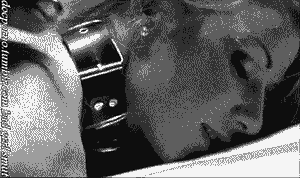 puppygirlsnplaythings:The pleasure of knowing one is exactly where one belongs.