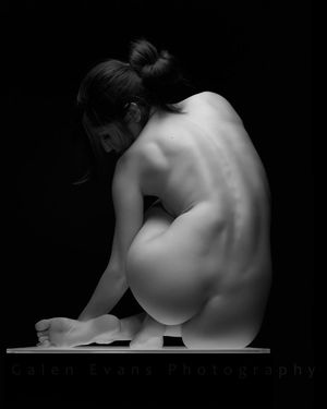 [SE] : Galen Evans (ww.galenevans.com)