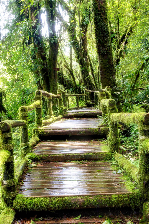 plasmatics: Fall Bridge ~ By Sasin Tipchai&#160;&#187;