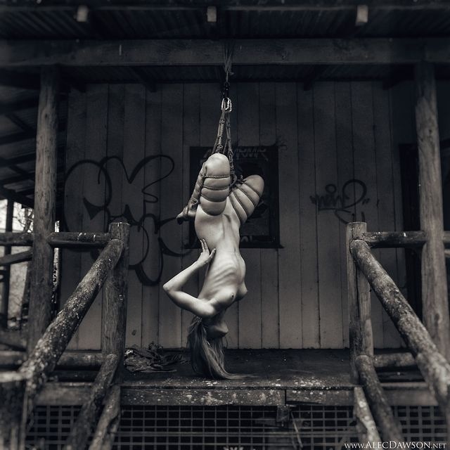 Bound on porch