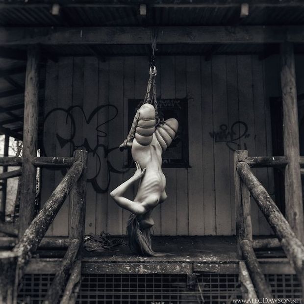Bound on porch