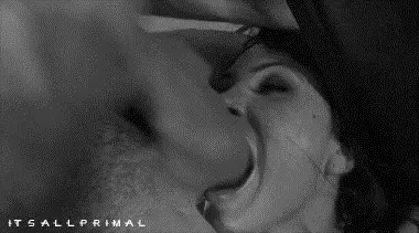balls licking gif