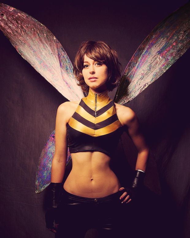 wasp