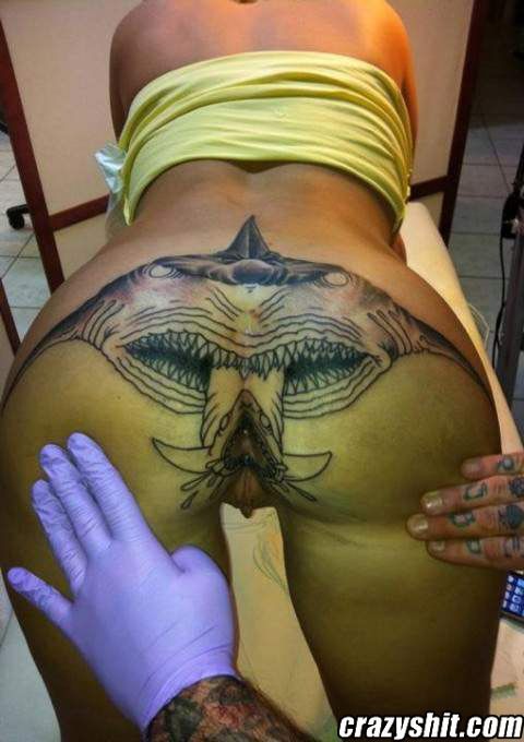 Tattooed asshole (Shark)