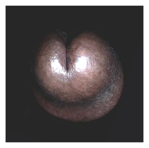 Staring down the barrel of a loaded gun - losangelesbbc on tumblr