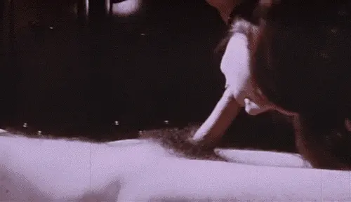 Put Your Dick In My Mouth