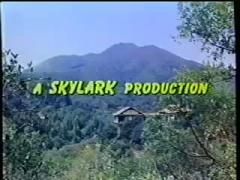 Nothing to Hide. 1991