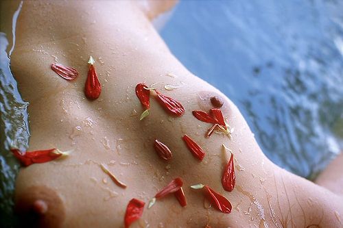 Hot Asian Beauties
selected by Sexy Japanese Babes and 1staab