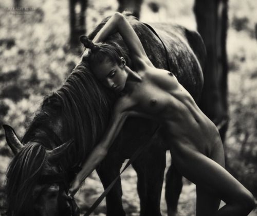 horses