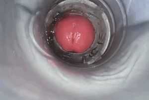 Huge load being shot into a sex toy