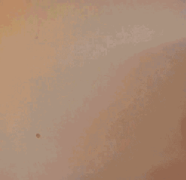 Flash