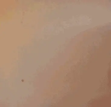 Flash