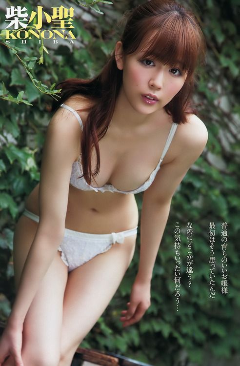 chong2-ho1:
Konona Shiba