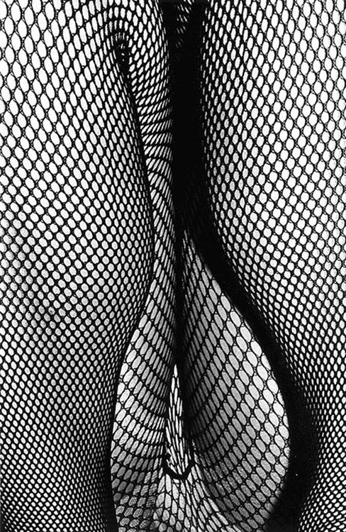 plaisirsdefendus:
Daido Moriyama - Tokyo, Japon, 1986.