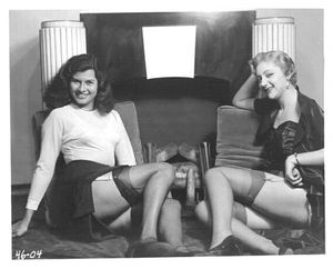 Lesbiennes vintage en bas et porte jarretelles chattes poilues