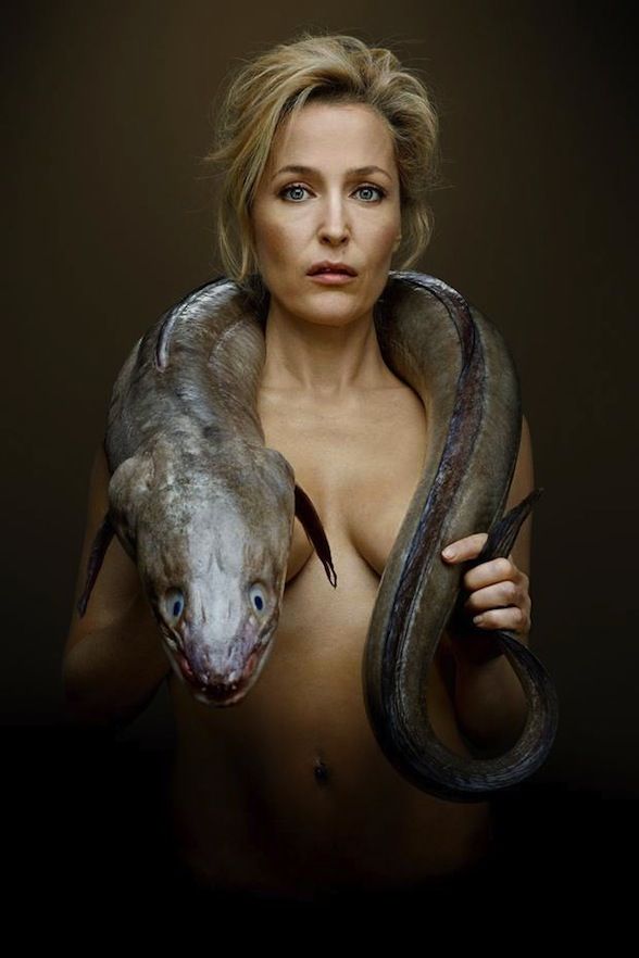 GILLIAN ANDERSON