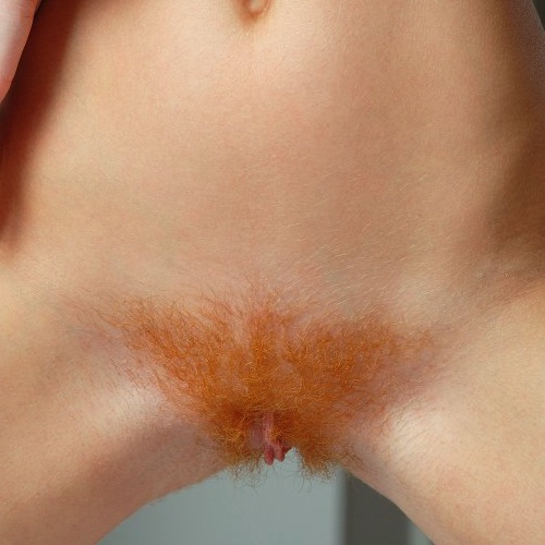 foxy