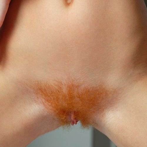 foxy