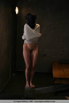 Border of Submission #29