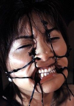 Border of Submission #30