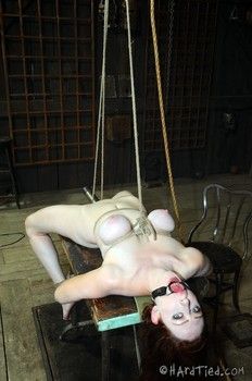 Border of Submission #56