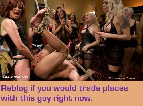 femdomforever:Mistress HD Galleries