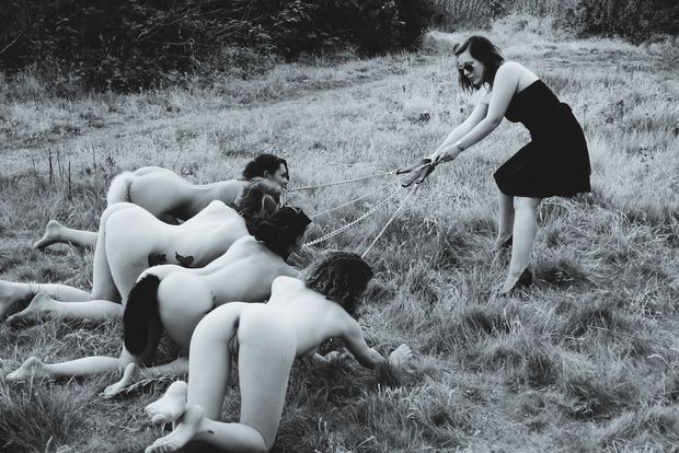Feral kittens need the most milk and discipline…