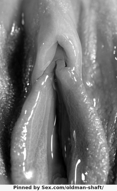 giger inspired by...