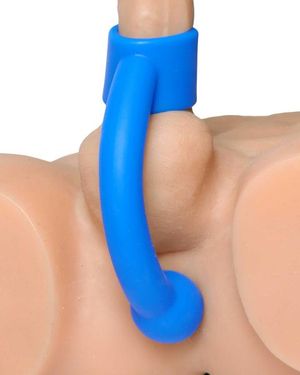 Prostate erection ring