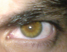 My Eyes