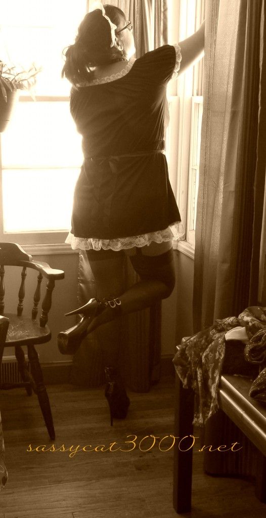 Cleaning the Windows