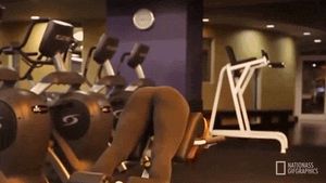 working out her glutes