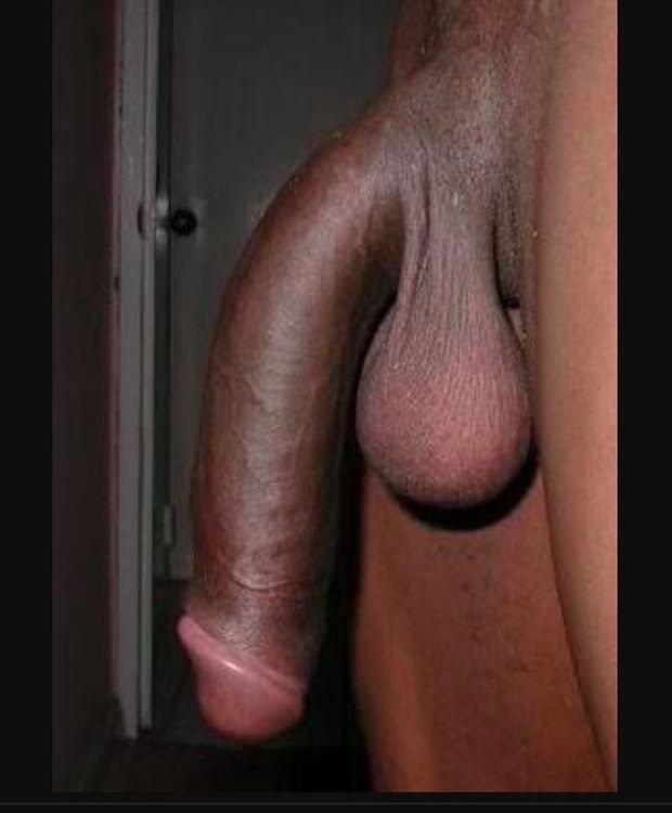 The king size big black dick