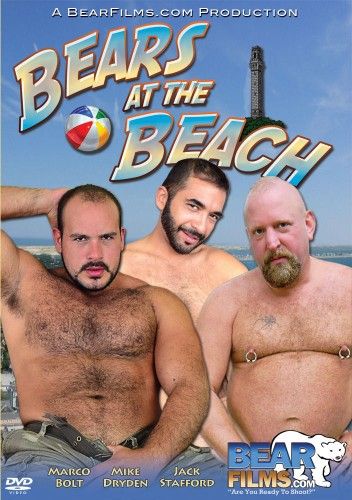 Bears At The Beach - Provincetown