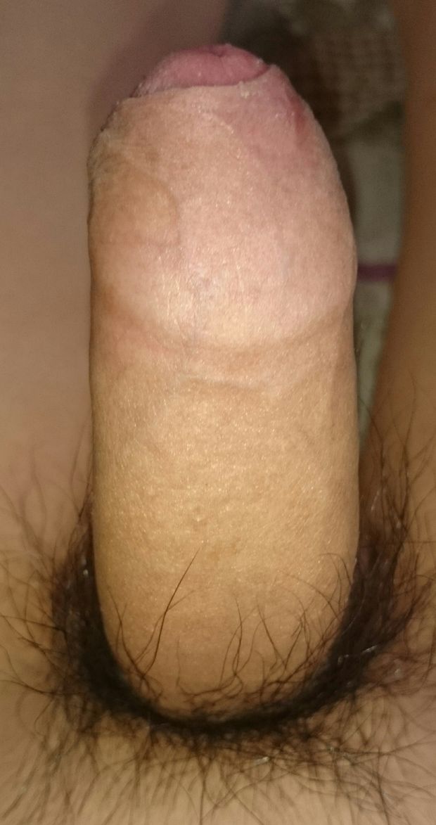 penis
