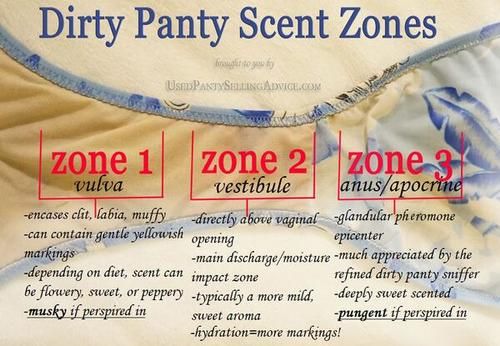 uncabilly:

brdshldrs:

Amber is an amaxing artiste who understands used panties better than anyone. &#160;This is from her site,&#160;; You can also find her on twitter, where she is @InMyUsedPanties, and I am in hers!