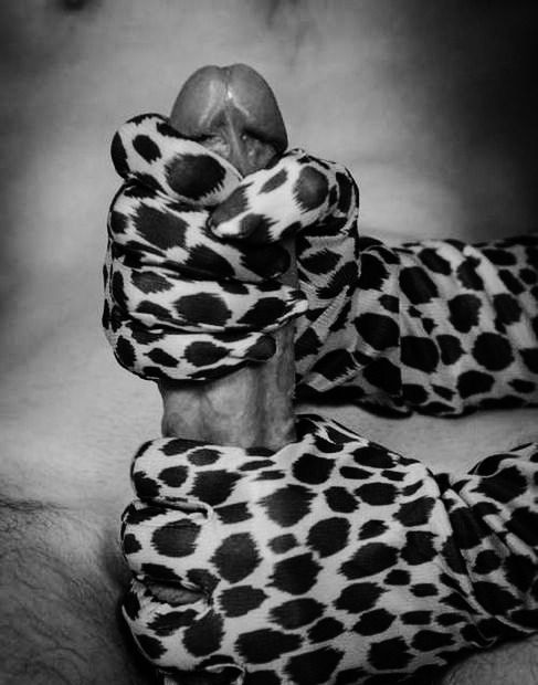 Handjob Fantasies