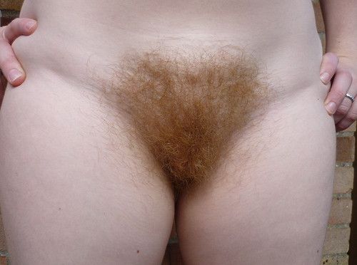 Hairy Chicks