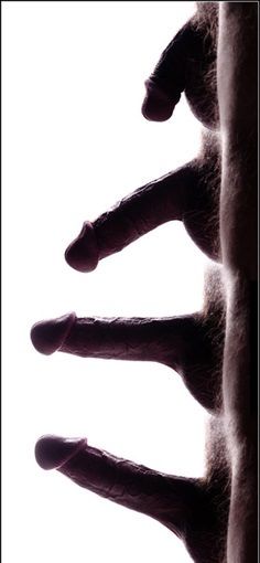 Life cycle of a penis - From 3 inches to 8 inches