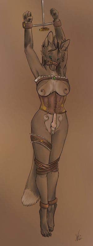 furry herm in lingerie