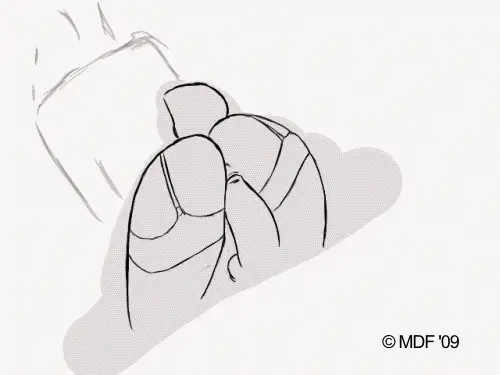 furry ass bouncing
