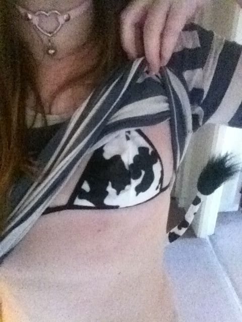 Cows can be pets too right? Moo..