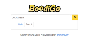 New search engine launched - search porn anonymously. You can...