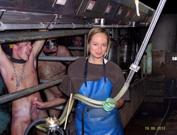 milkingmaschine