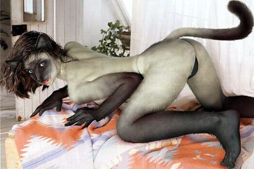 cat looking body painting